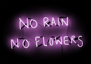 'No Rain No Flowers'