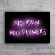'No Rain No Flowers'